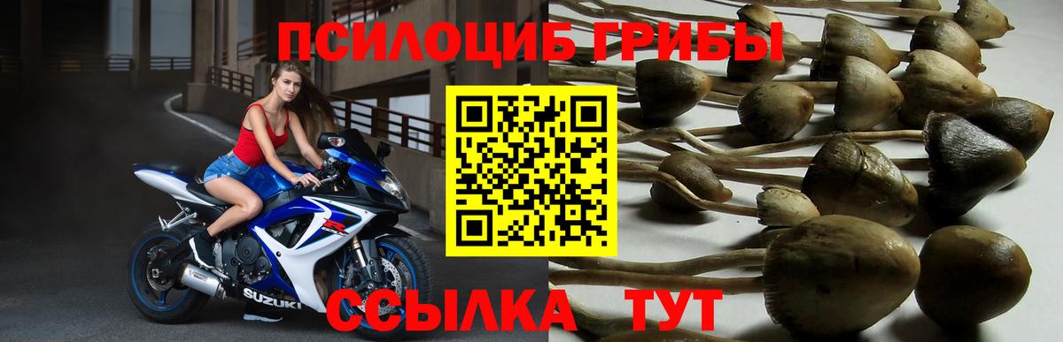 Галлюциногенные грибы мицелий  Вход с VPN  Урай 